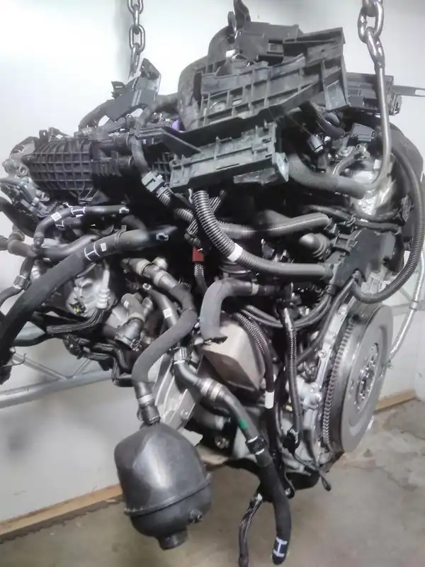 Heißes Angebot Motor Benzin gebraucht BMW X6 - G06-F96 ab 2019 Baujahr 2023