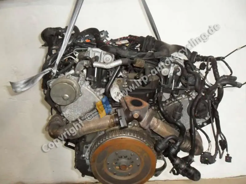 Letzte Chance Motor gebraucht AUDI A6 (4F, 04/04-) Baujahr 2004
