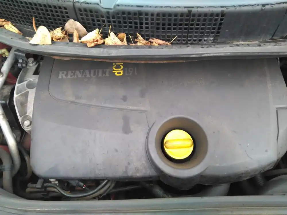 Ausverkauf Motor gebraucht RENAULT SCENIC II (FACELIFT) Baujahr 2007