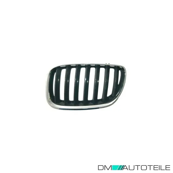 Expressversand Kühlergrill Kühlergitter Grill links vorne links für BMW X5 E53 Bj. 2003-2006