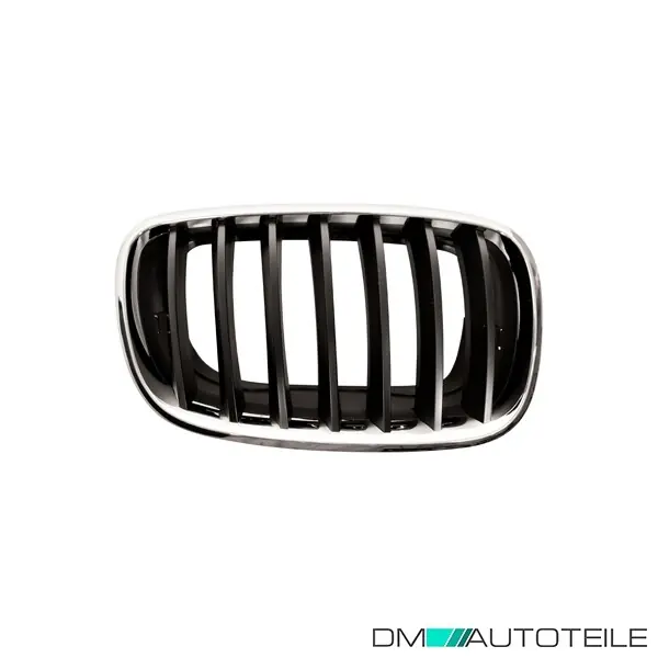 Direktkauf Kühlergrill Kühlergitter Grill rechts passt für BMW X5 E70 X6 E71 Bj. 2007-2014