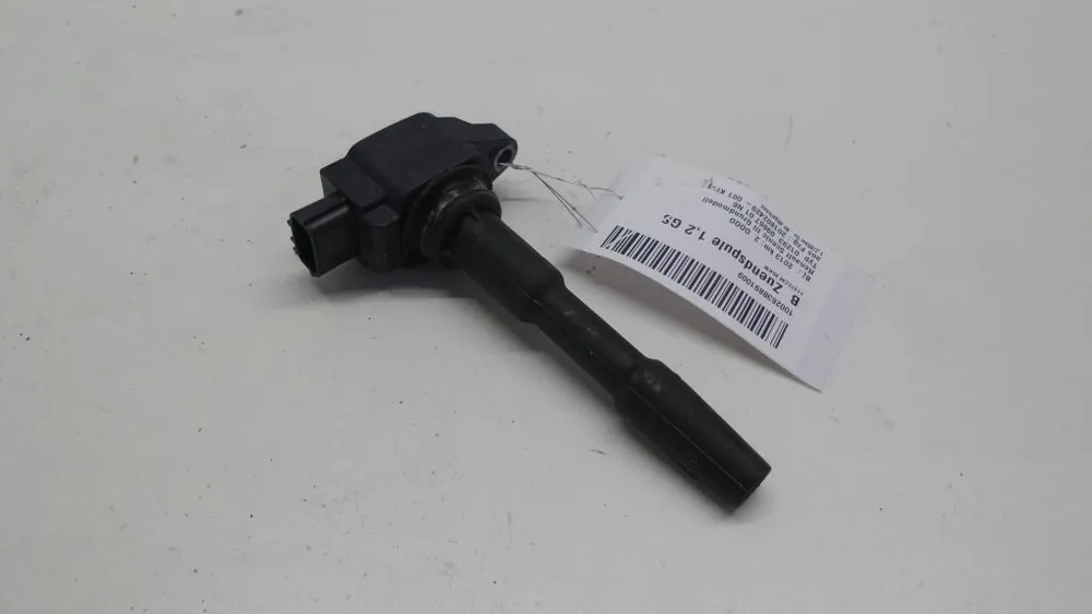 Sichere Zahlung Elektrik gebraucht RENAULT SCENIC III Baujahr 2013
